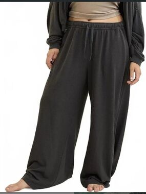 🆕 NWT Aerie Soft Life Trouser in 'Smoked Gray', Size Small